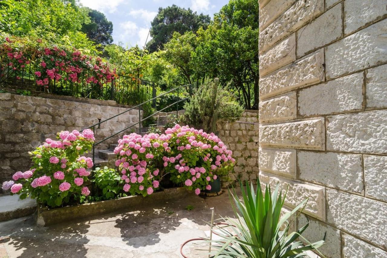 Apartment Djivo Dubrovník Exteriér fotografie